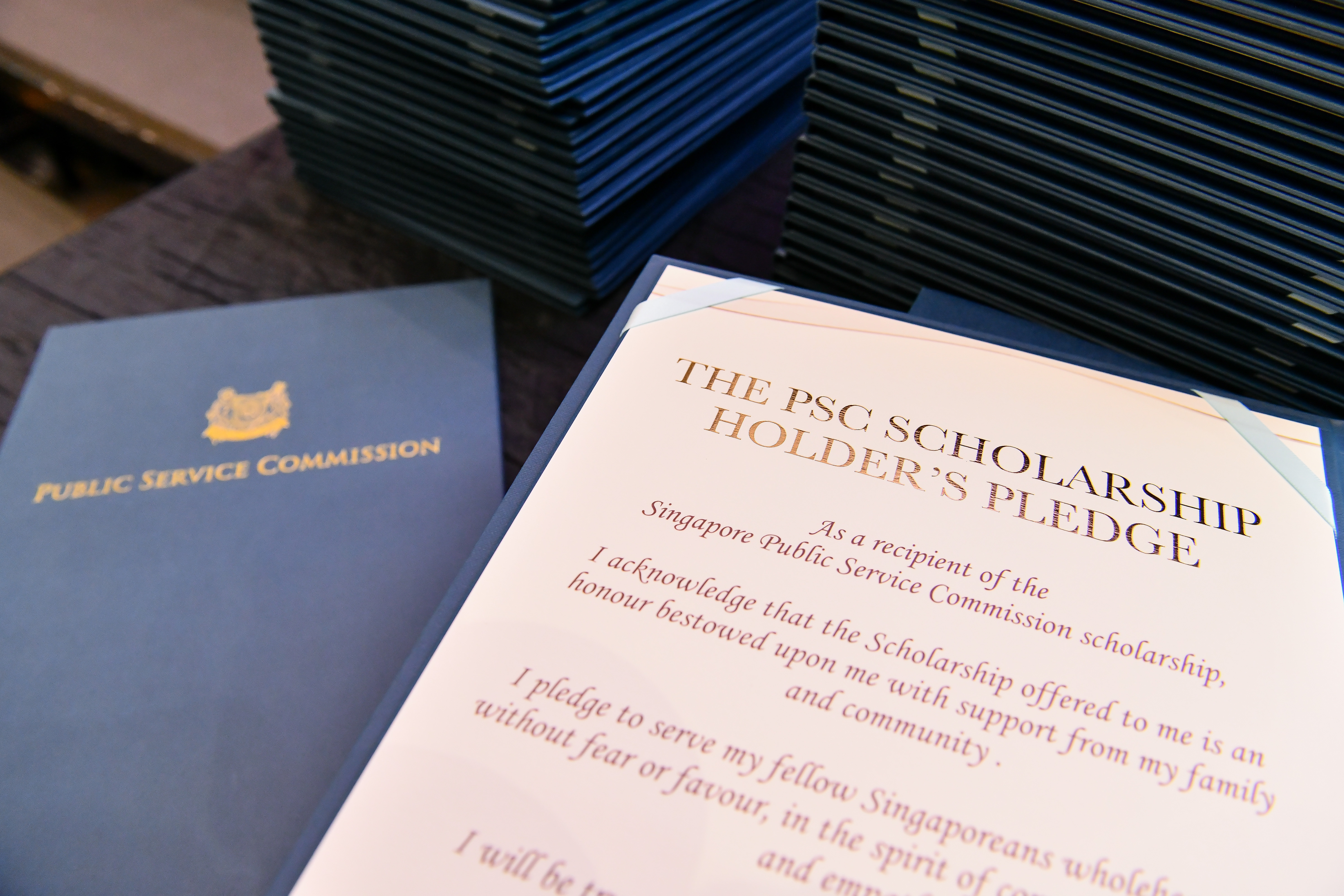 alt text - PSC Scholarship Holders' Pledge